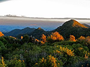 Central plateau from Pirongia at sunset