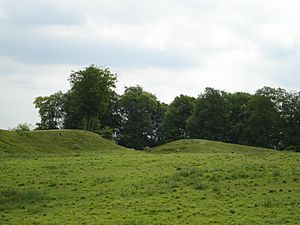Danebury Hill Fort entrance - panoramio.jpg