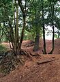 Danes Camp Earthworks Northampton