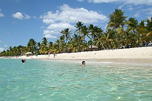 Dominicana-Isla Catalina.jpg