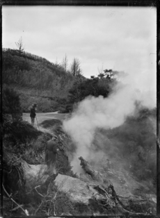 Dragon's Mouth geyser at Wairakei ATLIB 313207