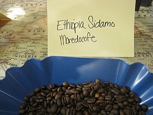 Ethiopia Sidamo