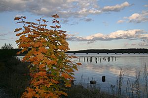 Evening on the Sheepscot River.jpg