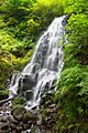 Fairy Falls (Oregon)
