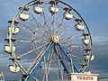 Ferris Wheel Coleman Brothters
