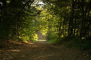 First State National Historic Park by Greg Young
