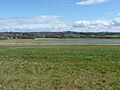 Flagship Diamond Wood, Leicestershire - the lake