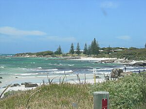 Flinders bay whaling