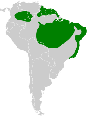 Formicivora grisea map.svg