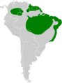 Formicivora grisea map