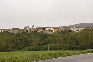 View of Fresneña, 2010