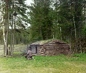 Gorskii 04654u