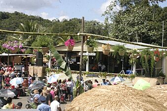 Hacienda Maricao, Fiesta Acabe del Café in Maricao, Puerto Rico