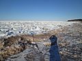 Ice as far as the eye can see in the Gulf of St. Lawrence (39250866530)