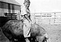 Iowa Farm Boy riding hog, 1941