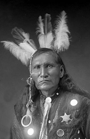 John Sitting Bull (1926) by David Francis Barry.jpg