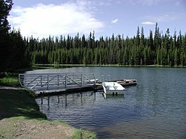 A metal and wooden dock and a small white boat floating beside in shallow water, with evergreen trees in the background