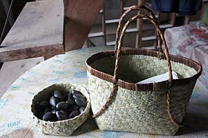 Kinab-anan Farm basket