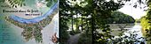 La Forêt Onésienne et le Rhône