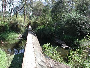 Lagoon Creek Railway Water Supply Facility and Pump Station (2006) - dam wall