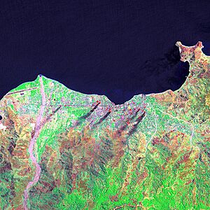 Landsat dili lrg