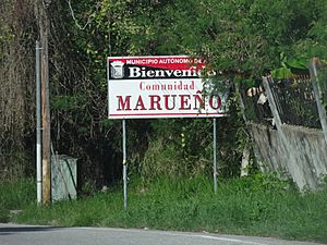 Marueño Facts for Kids