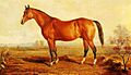 Lexington (USA)