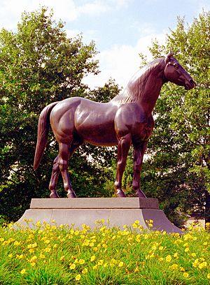 Lexington Kentucky - Kentucky Horse Park "Man 'O' War"