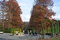 Longwood Garden 004