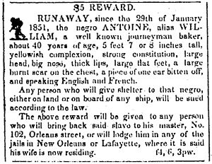 Louisiana Courier-2-4-1851 Runaway Slave Ad
