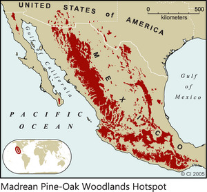 Madrean Pine-Oak Woodlands Hotspot 2005 Print