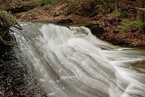 McConnells Mill State Park Hells Hollow Falls