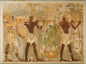 Men from Punt Carrying Gifts, Tomb of Rekhmire MET 30.4.152 EGDP013029