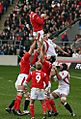 A Welsh player grasping the ball while being held in the air by his teammates following a line-out
