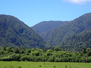 Mokihinui Gorge from Seddonville
