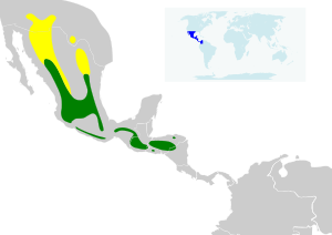 Myioborus pictus map.svg