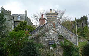 Newport, Pembrokeshire, Castle from foot of Castle Street (Tony Holkham)
