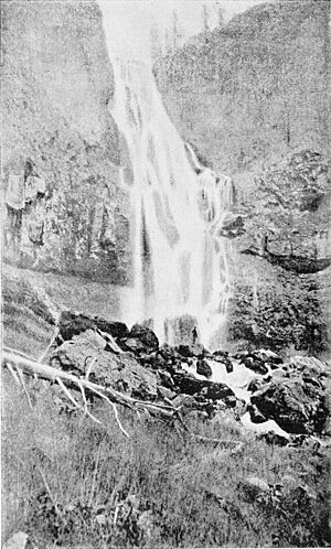 PSM V40 D472 Osprey falls of gardiner river.jpg