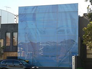 Pamela anderson house st kilda
