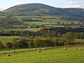 Pastoral view, Hutton - geograph.org.uk - 1039893