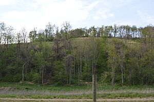 Perry Road toward ridgeline