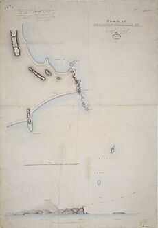 Plan of Seal Rocks & Sugarloaf Point, 1873 cropped