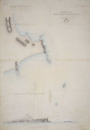 Plan of Seal Rocks & Sugarloaf Point, 1873 cropped