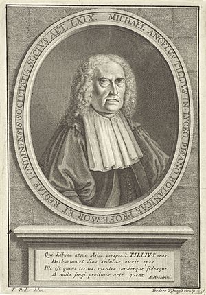 Portret van Michael Angelus Tillius, RP-P-1909-4569.jpg