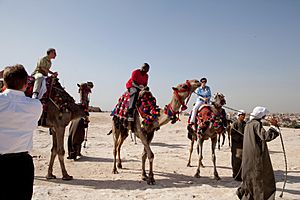 President Barack Obama's Trip to Egypt - DPLA - 1053c244f42dcf223326a917d3987ab3