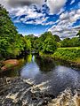 Río Roe. Parque del Condado del Valle del Roe. Irlanda del Norte. Reino Unido
