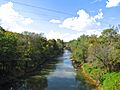 Red-River-Adams-tn1