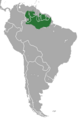 Red-backed Bearded Saki area