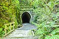 Rimutaka Rail Trail- Summit Tunnel
