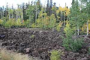 S.R. 14 Lava Flow, Near Duck Creek, Utah (3943437970)
